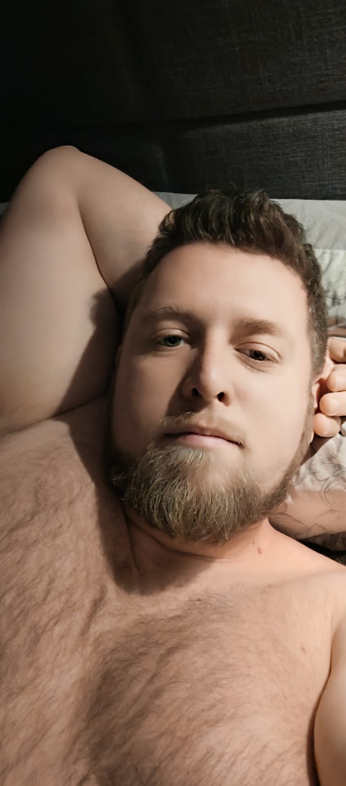 Profil von Timéo, 31 Jahre, Gay in Adenau (Rheinland-Pfalz)